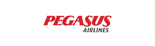 Pegasus referansı