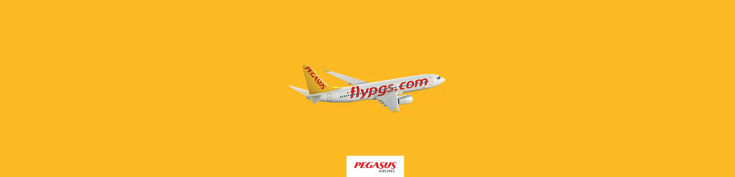 Pegasus referansı